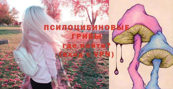 соль курить ск Медвежьегорск