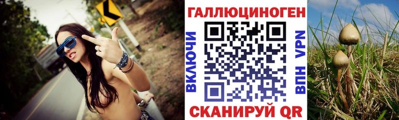 Псилоцибиновые грибы Magic Shrooms Мостовской
